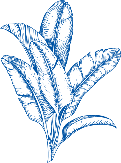 flower2.png