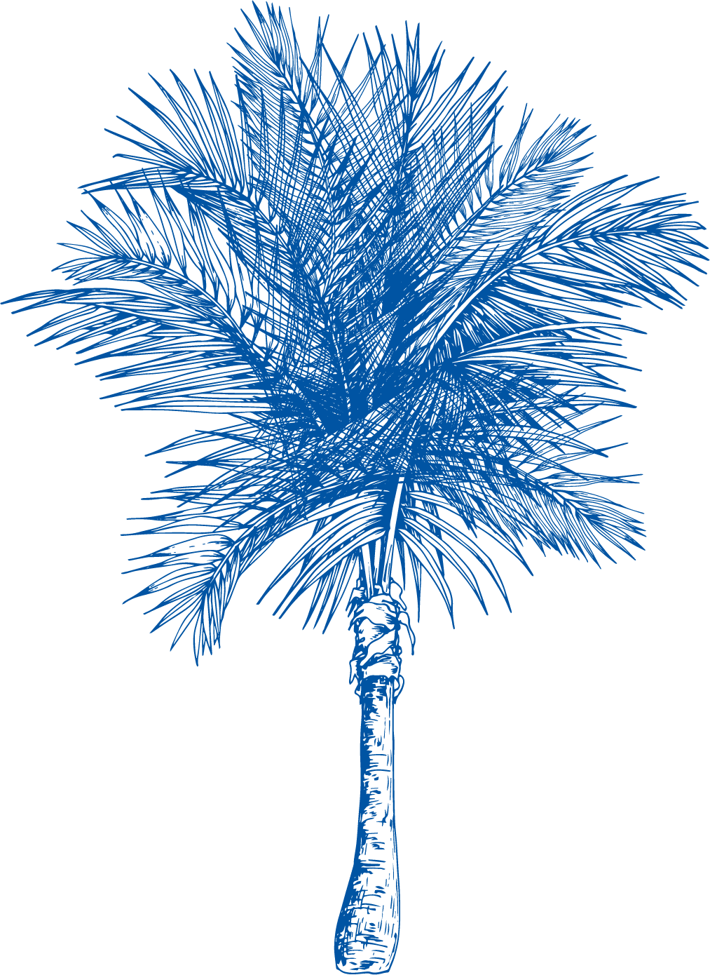 flower_4.png