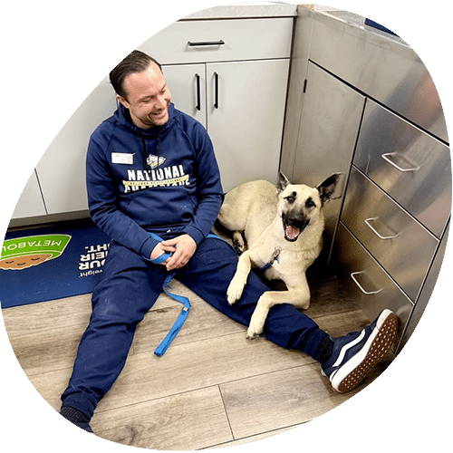 A man in a blue tracksuit sits on a wooden floor, smiling at a large, happy dog lying beside him. Indoors near cabinets, the veterinarian holds the dog's blue leash, showing their close bond after a vet visit.