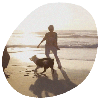 Contact-overlay-1updated1 A veterinarian walks and plays with a dog on the beach at sunset, with waves in the background and their shadows cast on the sand.