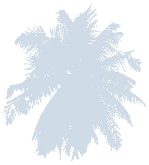 Light blue silhouette of a palm tree with detailed, textured fronds, set against a plain, light background—perfect for a veterinarian’s office or vet-themed space.