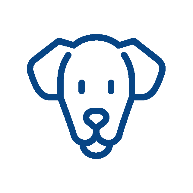 A simple blue line drawing of a dog's face, shown from the front, with two ears, two eyes, a nose, and a mouth on a white background—perfect for vet or veterinarian-themed designs.