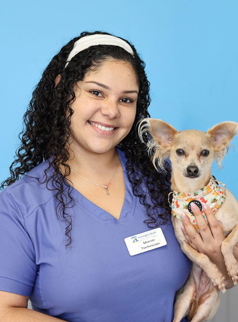 A smiling veterinarian in a purple scrub top and headband holds a small dog wearing a colorful bandana, standing in front of a blue background.