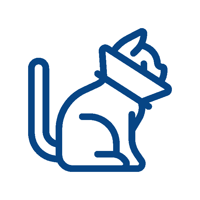 Simple blue outline drawing of a sitting cat wearing an Elizabethan collar, often used by a veterinarian. The design is minimalistic and uses clean lines.