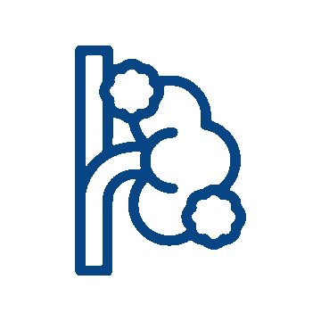 A simple blue line drawing of a tree with two main branches, three round clusters representing leaves or foliage, and a vertical trunk on the left side—ideal for a vet or veterinarian-themed design.