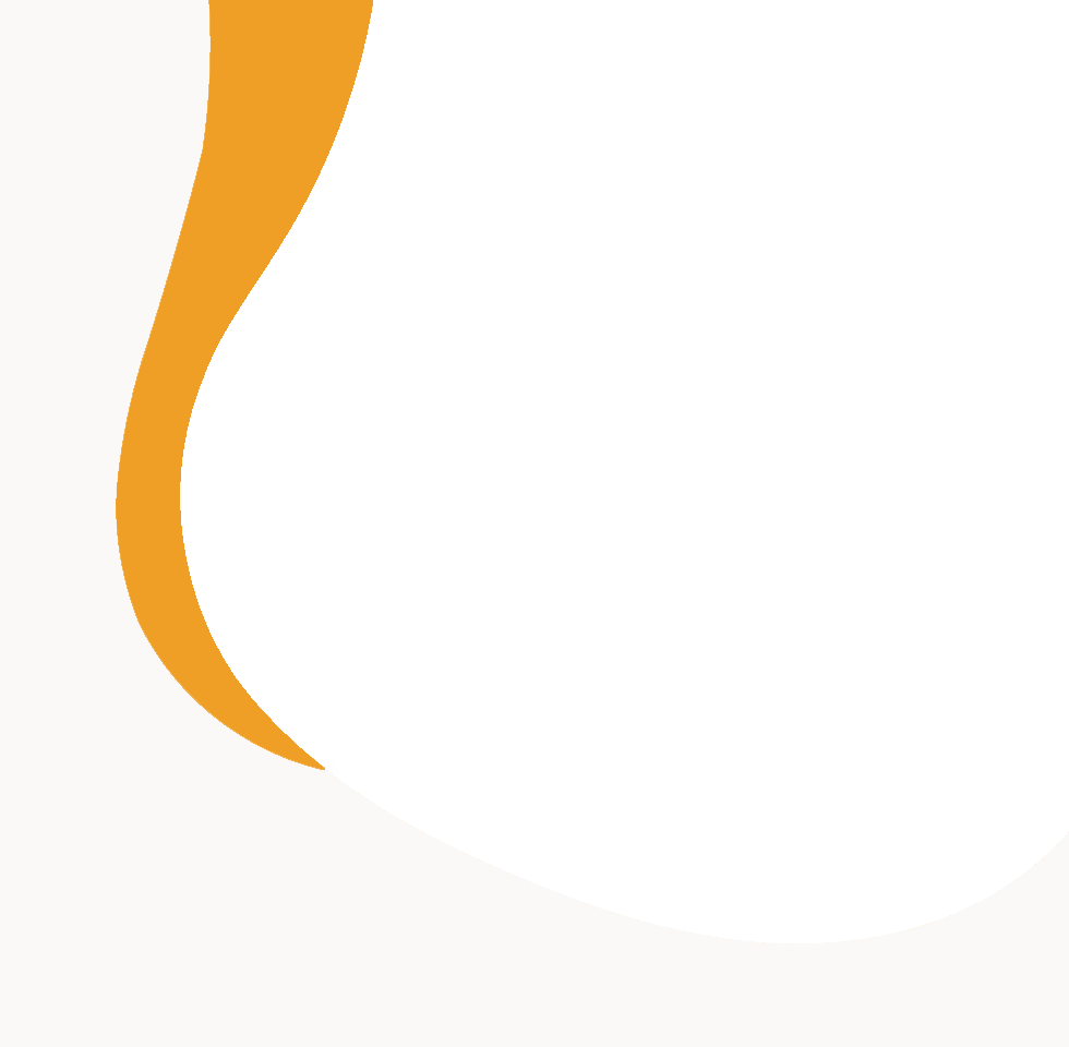 A white background with an irregular, curved orange shape along the upper left edge creates an abstract, modern design—perfect for a vet or veterinarian-themed project.