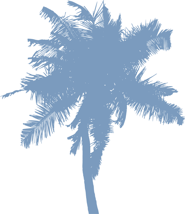 A blue silhouette of a palm tree with detailed fronds stands against a light gray background, offering a calm and soothing design perfect for any veterinarian’s office or vet clinic.