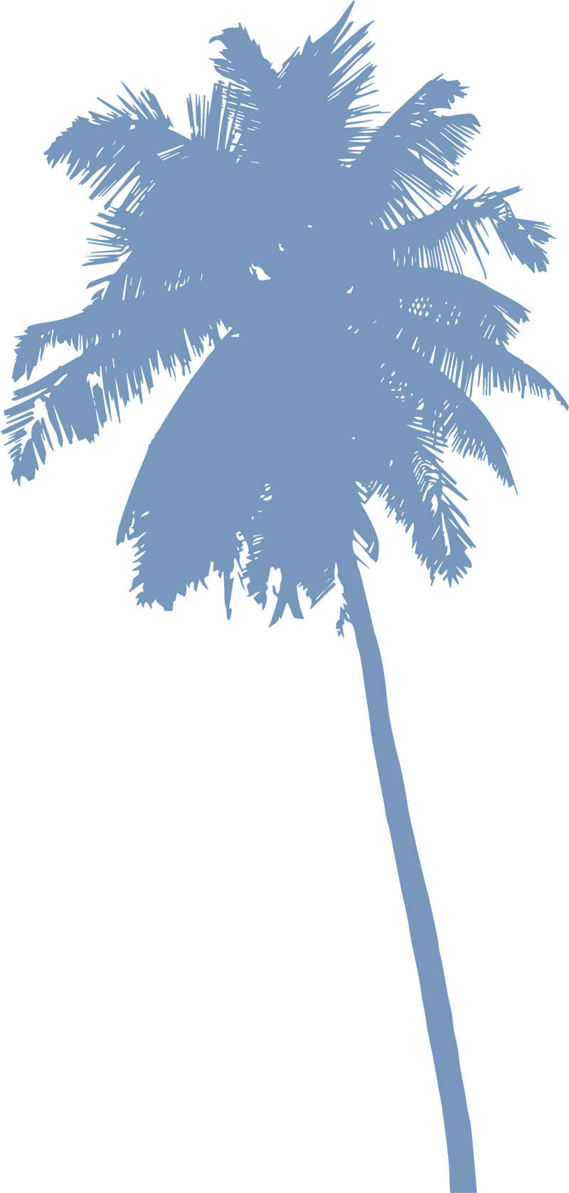 A simple blue silhouette of a tall palm tree with a long curved trunk and a wide, leafy crown, set against a plain white background—a calm scene perfect for any veterinarian or vet-themed space.
