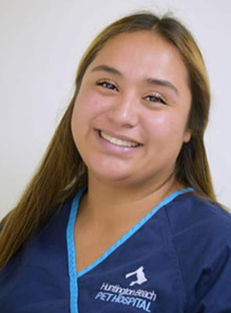 A woman with long, straight brown hair smiles while wearing a navy blue scrub top with light blue trim and a “Huntington Beach Pet Hospital” logo, embodying the warmth and professionalism of a dedicated veterinarian. The background is plain and light-colored.