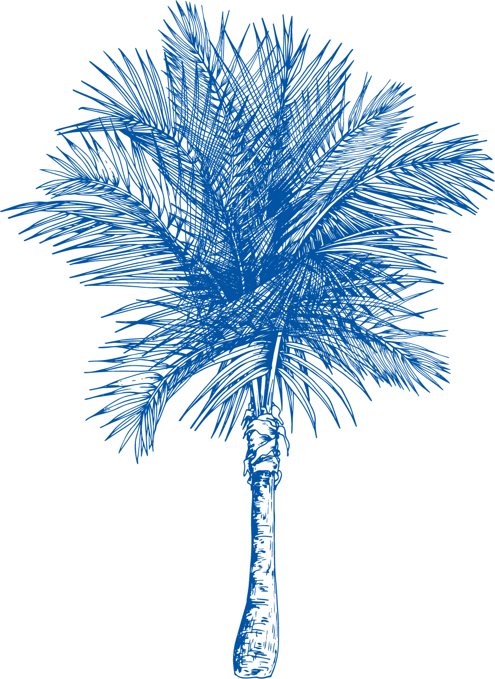 Blue line-art illustration of a tall palm tree with a textured trunk and dense, spiky fronds against a plain white background—a calming scene perfect for any veterinarian or vet’s office décor.