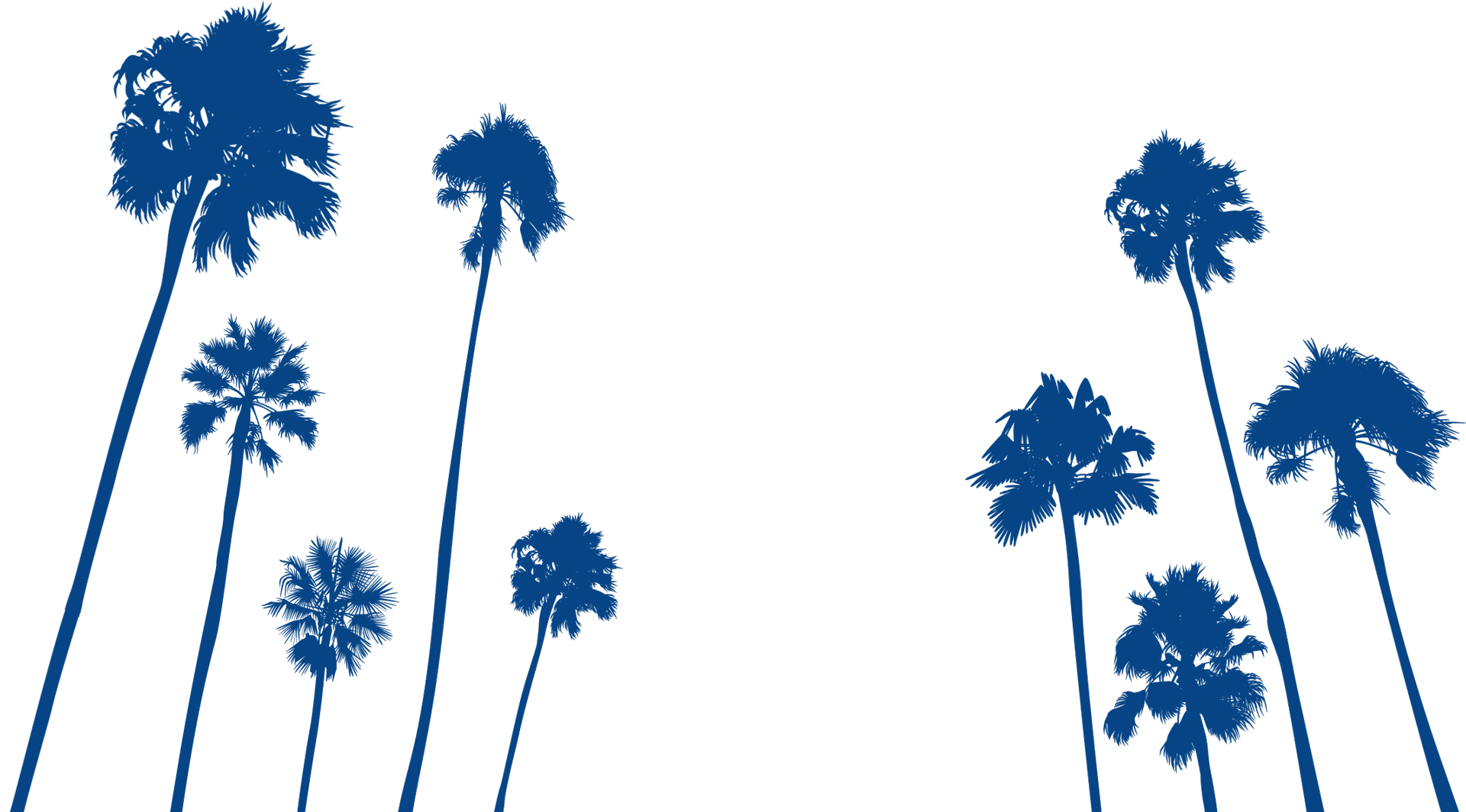 Stylized blue silhouettes of tall palm trees are spread across a white background, resembling a serene vista you might spot near a vet clinic, with some clustered on the left and others on the right, leaving the center mostly empty.