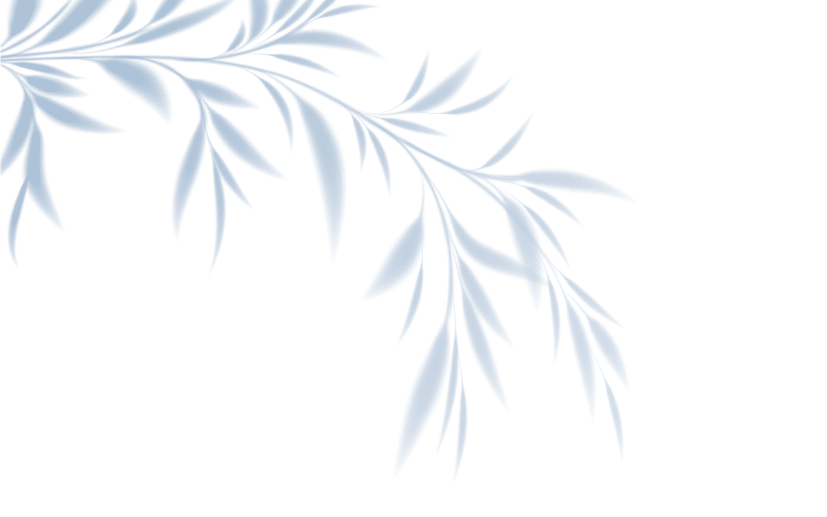 Soft, pale blue leafy branches extend from the top left corner against a light gray background, creating a delicate, airy, and minimalist design perfect for a veterinarian’s clinic or vet-themed materials.