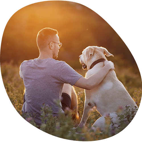 A man, who is a veterinarian, sits on the grass in a field at sunset with his arm around a yellow Labrador. Both face the sun, creating a warm and peaceful atmosphere.