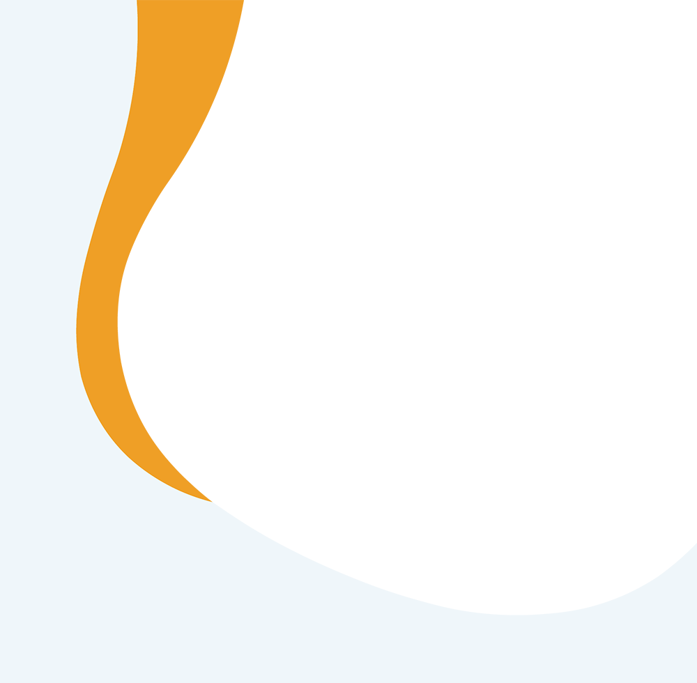 Abstract background with a thick, wavy orange curve on the left side against a light gray and pale blue backdrop. The modern design features smooth, flowing lines—perfect for a contemporary veterinarian or vet clinic brand.