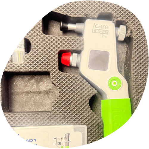 Isafe handheld device in protective foam case packaging