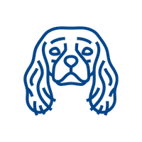 Blue line art illustration of a Cavalier King Charles Spaniel